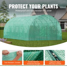 VEVOR kas tunnelkas koudframe tomatenhuis 590x295x198cm groen