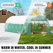 VEVOR kas tunnelkas koudframe tomatenhuis 590x295x198cm groen