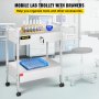 VEVOR Laboratoriumwagen 2-laags roestvrijstalen universele wagen, medische wagen, 2 laden, rollende laboratoriumwagen, wit geschilderde serveerwagen met 360° wielen, voor laboratorium, ziekenhuis, tandartspraktijk, salon