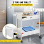 VEVOR Laboratoriumwagen 2-laags roestvrijstalen universele wagen, medische wagen, 2 laden, rollende laboratoriumwagen, wit geschilderde serveerwagen met 360° wielen, voor laboratorium, ziekenhuis, tandartspraktijk, salon