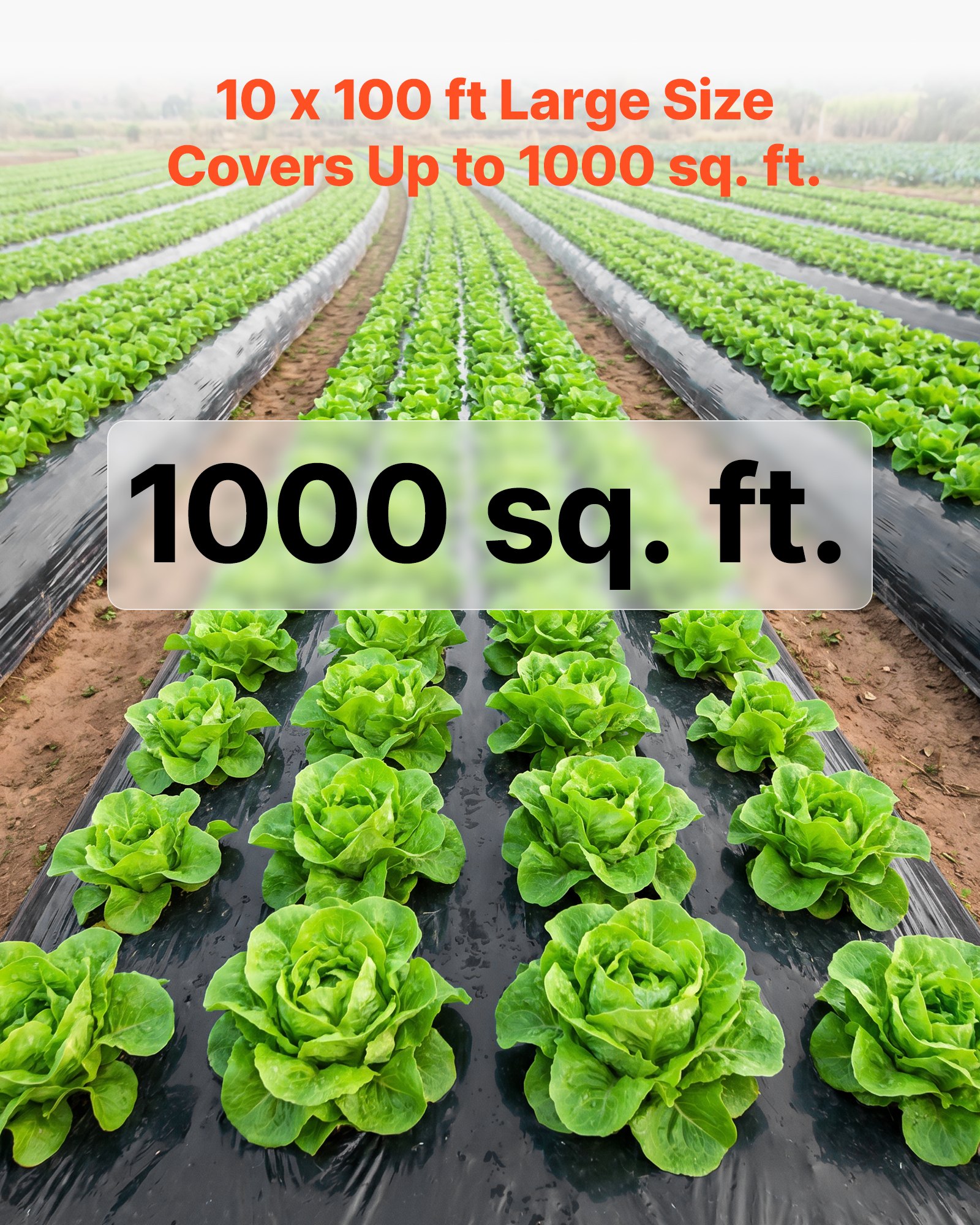 VEVOR Polyethyleenfolie 3,05 x 30,48 m Tuinfolie 0,1 mm Onkruidbestrijdingsdoek Zwart, Plastic rol voor tuinieren, zeildoek, schildersdoek, kruipruimteafdekking, dampremmende laag, onkruidbestrijding