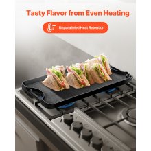 VEVOR Omkeerbare bakplaat, voorgekruide BBQ-pan van gietijzer, 492 x 218 mm