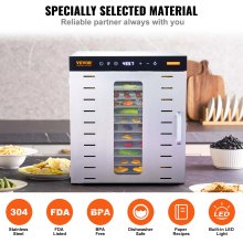 VEVOR 1000 W dehydrator stainless steel, 300 x 280 mm 10 pcs. trays 360° dry, dehydrator, 30-90℃ temperature control, 0.5 to 48 hour timer, overheating protection, recipe booklet for meat, fruit, vegetables