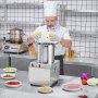 VEVOR Keukenmachine Groentehakker, 10 L Keukenmachine Gemaakt van roestvrij staal van voedingskwaliteit met 2 extra S-vormige messen, Multifunctioneel voor het hakken van groenten, fruit, granen en noten
