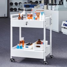 VEVOR laboratoriumwagen, 2-laags universele wagen van roestvrij staal, medicijnwagen met 2 laden, rollende laboratoriumwagen, witte serveerwagen met zwenkwielen voor laboratorium, ziekenhuis, tandartspraktijk, salon, enz.