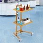 VEVOR 2-laags laboratoriumwagen van roestvrij staal, laboratoriumwagen met 2 planken, mobiele medische wagen met 4 stille wielen, rollende laboratoriumwagen voor laboratorium, kliniek, ziekenhuis, salon, goudkleurig