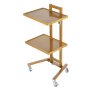 VEVOR 2-laags laboratoriumwagen van roestvrij staal, laboratoriumwagen met 2 planken, mobiele medische wagen met 4 stille wielen, rollende laboratoriumwagen voor laboratorium, kliniek, ziekenhuis, salon, goudkleurig