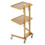 VEVOR 2-laags laboratoriumwagen van roestvrij staal, laboratoriumwagen met 2 planken, mobiele medische wagen met 4 stille wielen, rollende laboratoriumwagen voor laboratorium, kliniek, ziekenhuis, salon, goudkleurig