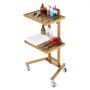 VEVOR 2-laags laboratoriumwagen van roestvrij staal, laboratoriumwagen met 2 planken, mobiele medische wagen met 4 stille wielen, rollende laboratoriumwagen voor laboratorium, kliniek, ziekenhuis, salon, goudkleurig