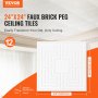 VEVOR Ceiling Tiles 12-Pack 24 x 24 in PVC Easy Installation White Echo Pattern