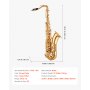 VEVOR Tenor Saxophone, B Flat, Professional Brass Saxophone Beginner Kit with Carrying Case, Mouthpiece, Straps, Cleaning Cloth, Gloves, Neck Strap, 23 Keys Tenor Sax Kit, for Beginners Students, Gold