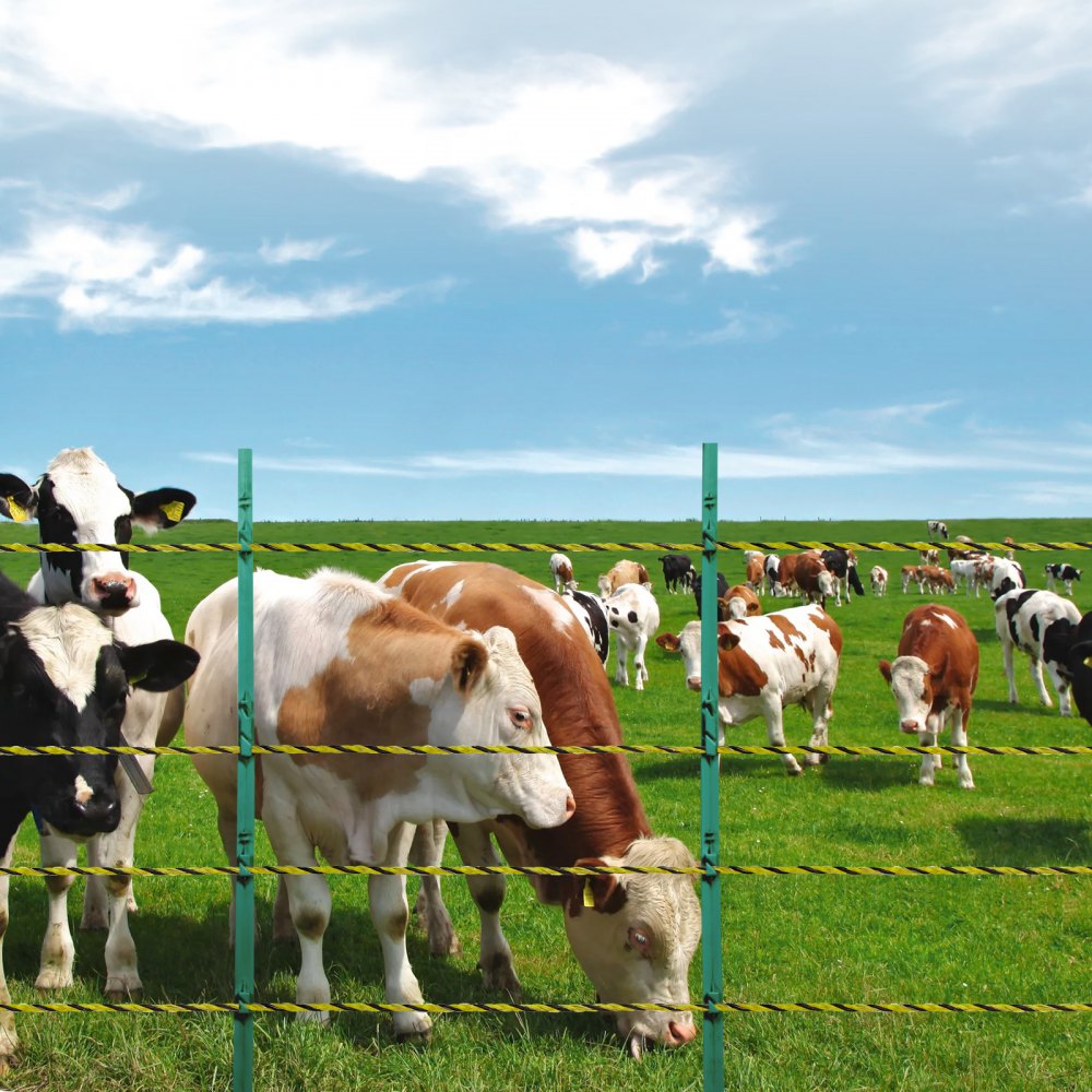 VEVOR elektrische omheiningsdraad, 500 m draagbare polydraad, 3 mm diameter, 6 roestvrijstalen strengen, omheiningskoord met 25 omheiningsisolatoren en 25 T-paalisolatoren, voor paarden, vee en vee