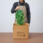 VEVOR 12 stuks kunstmatige hangvarens, kunstplanten met een hanglengte van 79 cm, gemaakt van synthetische en zijden stof, UV-bestendige kunstmatige Bostonvarens voor huis-, tuin- en kantoordecoratie, zonder bloempot.