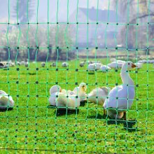 VEVOR elektrisch hekwerk 4' x 10' PE gaashekwerk met zonnelader/palen/dubbele piekpalen, handig draagbaar net voor kippen, eenden, ganzen, konijnen voor gebruik in de achtertuin
