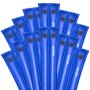 VEVOR Zwembadgewichtzak, 12 verpakkingen van 300 cm, 0,4 mm dikke PVC-gewichtzakken met lekvrije schroefdop, waterzakken voor het vastzetten van zwembadafdekkingen in de winter, blauw