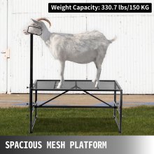VEVOR veestandaard 130 x 59 cm, trimstandaard met recht kopstuk, geitentrimstandaard, metalen frame, schapenscheerstandaard, vee trimstandaard