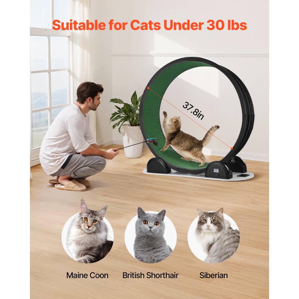 VEVOR Kattenloopwiel, 115 x 39,5 x 109 cm, Loopwiel met rem en tapijt, Kattenloopband voor binnenkatten tot 13,6 kg, Kattentrainer voor de gezondheid en conditie van huisdieren, Zwart