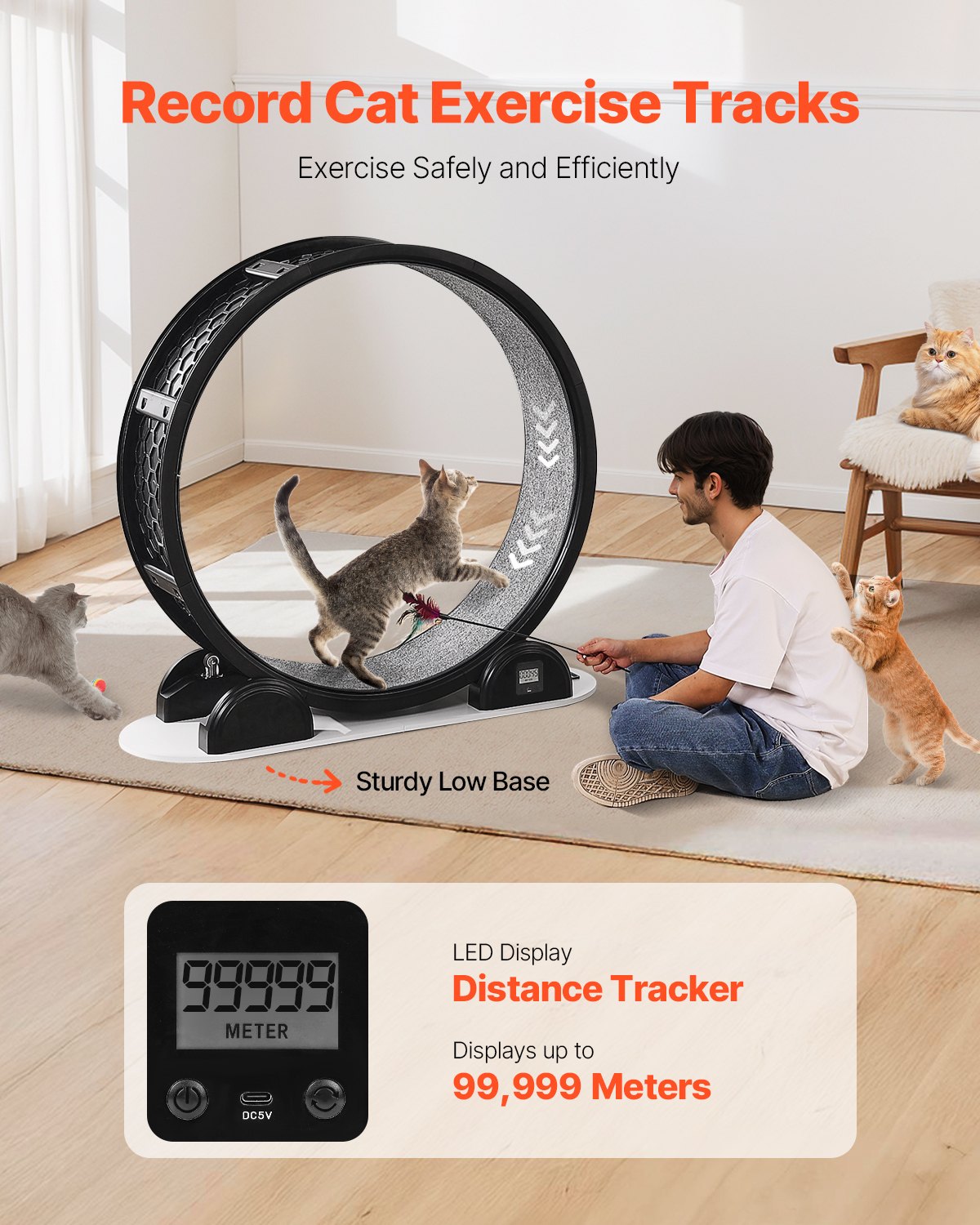 VEVOR Cat Exercise Wheel with Pedometer, 40.8 in, Cat Running Wheel with Brake & Carpeted Runway, Quiet Cat Treadmill for Indoor Cats Under 30lbs, Cat Exerciser for Pets Health & Fitness Black