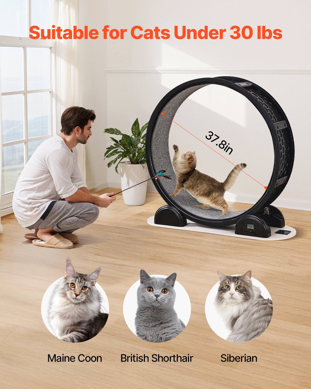 VEVOR Cat Exercise Wheel with Pedometer, 40.8 in, Cat Running Wheel with Brake & Carpeted Runway, Quiet Cat Treadmill for Indoor Cats Under 30lbs, Cat Exerciser for Pets Health & Fitness Black