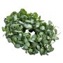 VEVOR Artificial Decorative Wreath, 26 in, Green, Decorated with Eucalyptus Leaves, Berries, Thorny Stems, Year Round Wreath for All Seasons Indoor and Outdoor Home Wall Window Festival Decorations