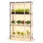 VEVOR Indoor Greenhouse with Grow Light, 150cm Tall 4-Tier Plant Stand with Clear Cover, Timer & Hygrometer, 180W Full Spectrum Grow Lights, Metal Lighted Plants Shelf Holder for Indoor Plants