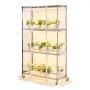 VEVOR Indoor Greenhouse with Grow Light, 150cm Tall 4-Tier Plant Stand with Clear Cover, Timer & Hygrometer, 180W Full Spectrum Grow Lights, Metal Lighted Plants Shelf Holder for Indoor Plants