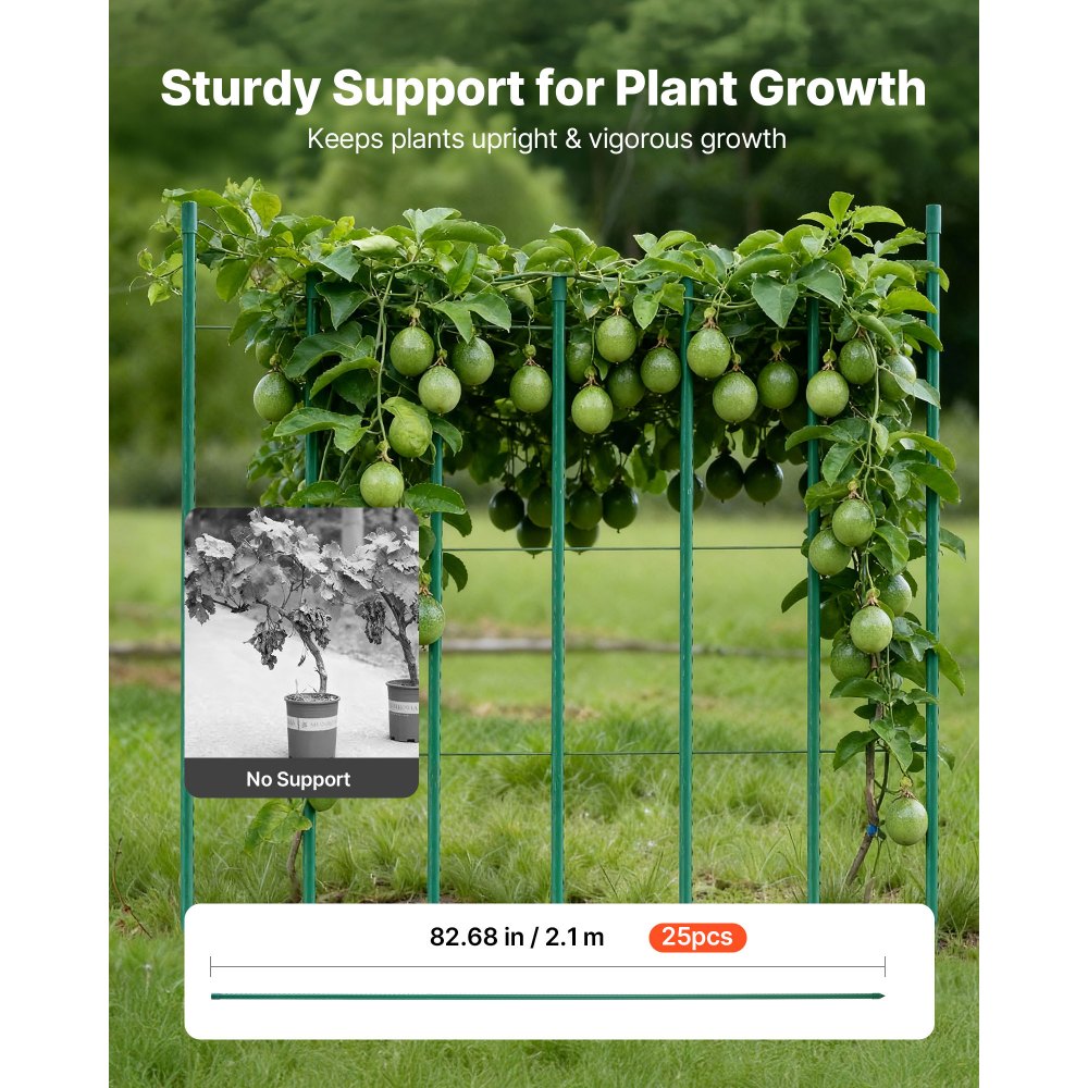 VEVOR Plantensteun, verpakking van 25 stuks, plantenstokken ⌀11x2100 mm, met kunststof gecoate metalen tomatenstokken, plantensteun met puntig uiteinde en antislipnoppen voor het kweken van klimplanten en groenten