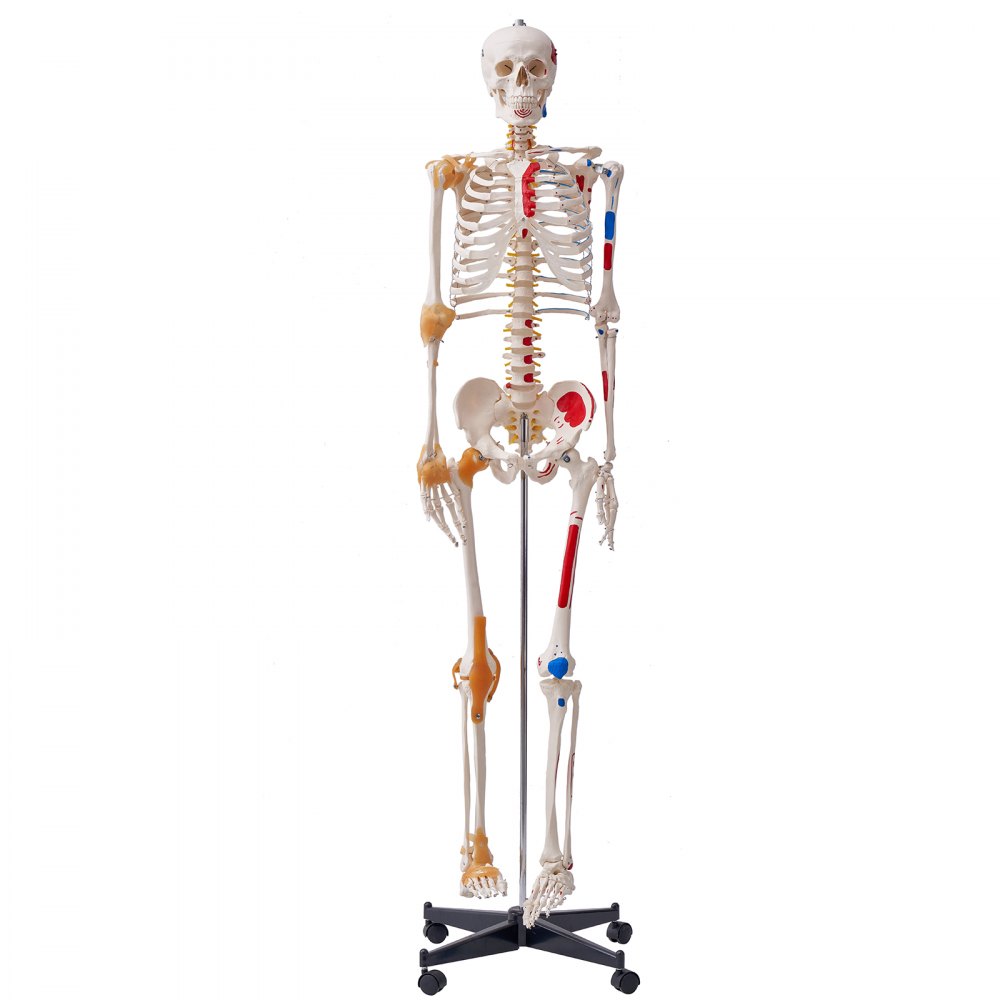 Flexibel