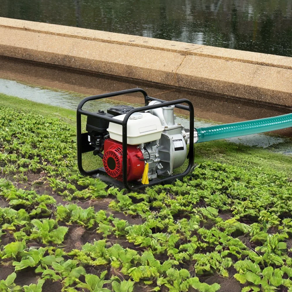 VEVOR Suction Hose, 51 mm(2 in) x 6.1 m(20 ft), Green High Quality Hose, with Camlock Connectors, and Aluminum Fittings, Fit Various Pumps, for Sewage Treatment, Water Transportation and More Agricultural Purposes