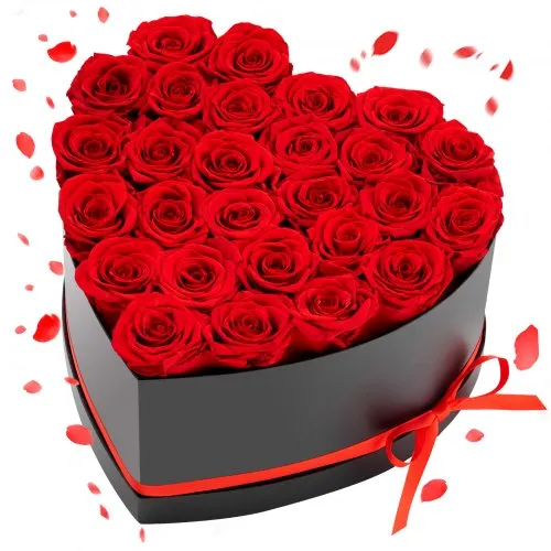 VEVOR Forever Flowers, 27 konserverte roser i en hjerteformet eske, evige blomster udødelig bukett bursdagsgave til levering Prime Women hennes kone mødre, jubileum, valentinsdag, jul, rød