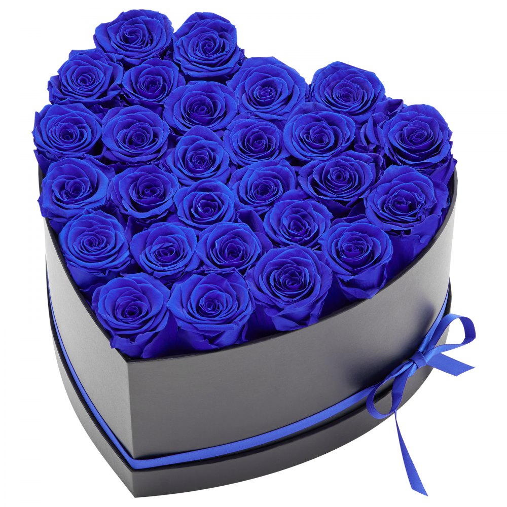VEVOR Forever Flowers, 27 konserverte roser i en hjerteformet eske, evige blomster udødelig bukett bursdagsgave til kvinner hennes kone mødre, jubileum, valentinsdag, jul, kongeblå