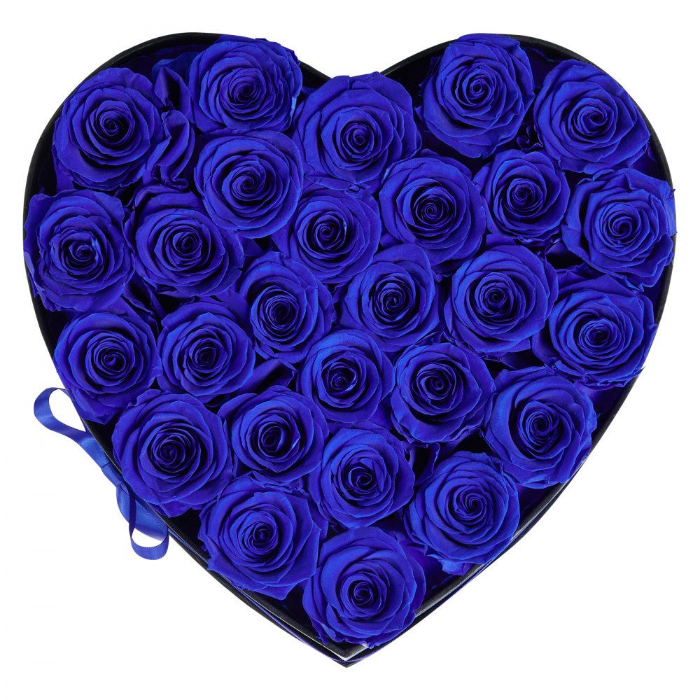 VEVOR Forever Flowers, 27 konserverte roser i en hjerteformet eske, evige blomster udødelig bukett bursdagsgave til kvinner hennes kone mødre, jubileum, valentinsdag, jul, kongeblå