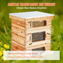 Ul VEVOR, ul sandacza na 30 ramek, drewno cedrowe pokryte woskiem pszczelim, 2 głębokie + 1 średnie pudełko na pszczoły, zestaw ula Langstrotha, przezroczyste akrylowe okna z fundamentami