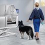 VEVOR Professional Dog Grooming Bath 127cm Stainless Steel Pet Bathtub Dog Wash Station max. 150kg Dogs Height Adjustable Dog Wash System Pet Grooming Bath with Right Door Dog Shower Wash Tub