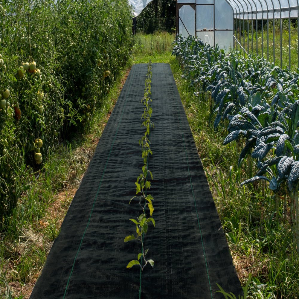 VEVOR Tkanina do zwalczania chwastów, 5,8 uncji, mata ogrodowa, 0,9 x 91,4 m, wytrzymała tkana geowłóknina do zwalczania trawy, bariera chwastobójcza, folia chwastobójcza do ogrodu i na patio, czarna