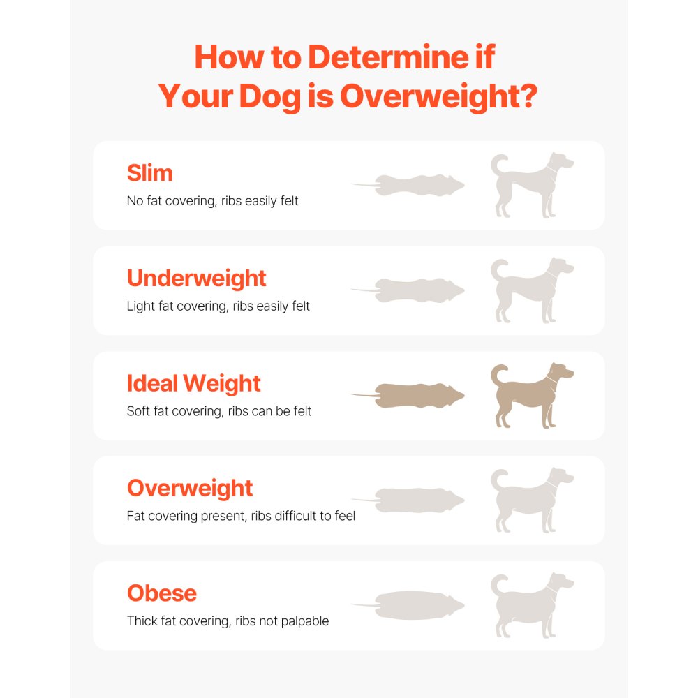 Bieżnia dla psów VEVOR dla średnich psów, 100 kg, urządzenie do spacerów z regulowanymi rampami, urządzenie do treningu psów, bieżnia treningowa dla zwierząt domowych do ćwiczeń w pomieszczeniach i na zewnątrz, 190 x 56 x 143 cm
