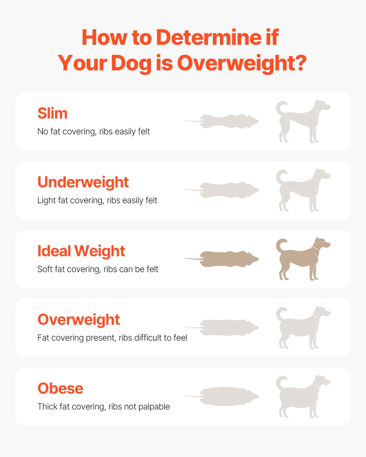 Bieżnia dla psów VEVOR dla średnich psów, 100 kg, urządzenie do spacerów z regulowanymi rampami, urządzenie do treningu psów, bieżnia treningowa dla zwierząt domowych do ćwiczeń w pomieszczeniach i na zewnątrz, 190 x 56 x 143 cm