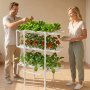 VEVOR Hydroponics Growing System Kit, 3-Tier 108 Sites UPVC Pipe Hydroponic Grow Kit with Timed Irrigation, Thickened Hydroponic Pipes, Indoor Home Garden Vegetable Planting Grow Kits for Fruit Herb