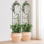 VEVOR Climbing Aid, 38x152 cm, Set of 2, Rustproof Metal Trellis for Garden Flowers, Climbing Frame, Plant Support for Roses, Cucumber Support, Decorative Clematis Trellis for Courtyards and Lawns