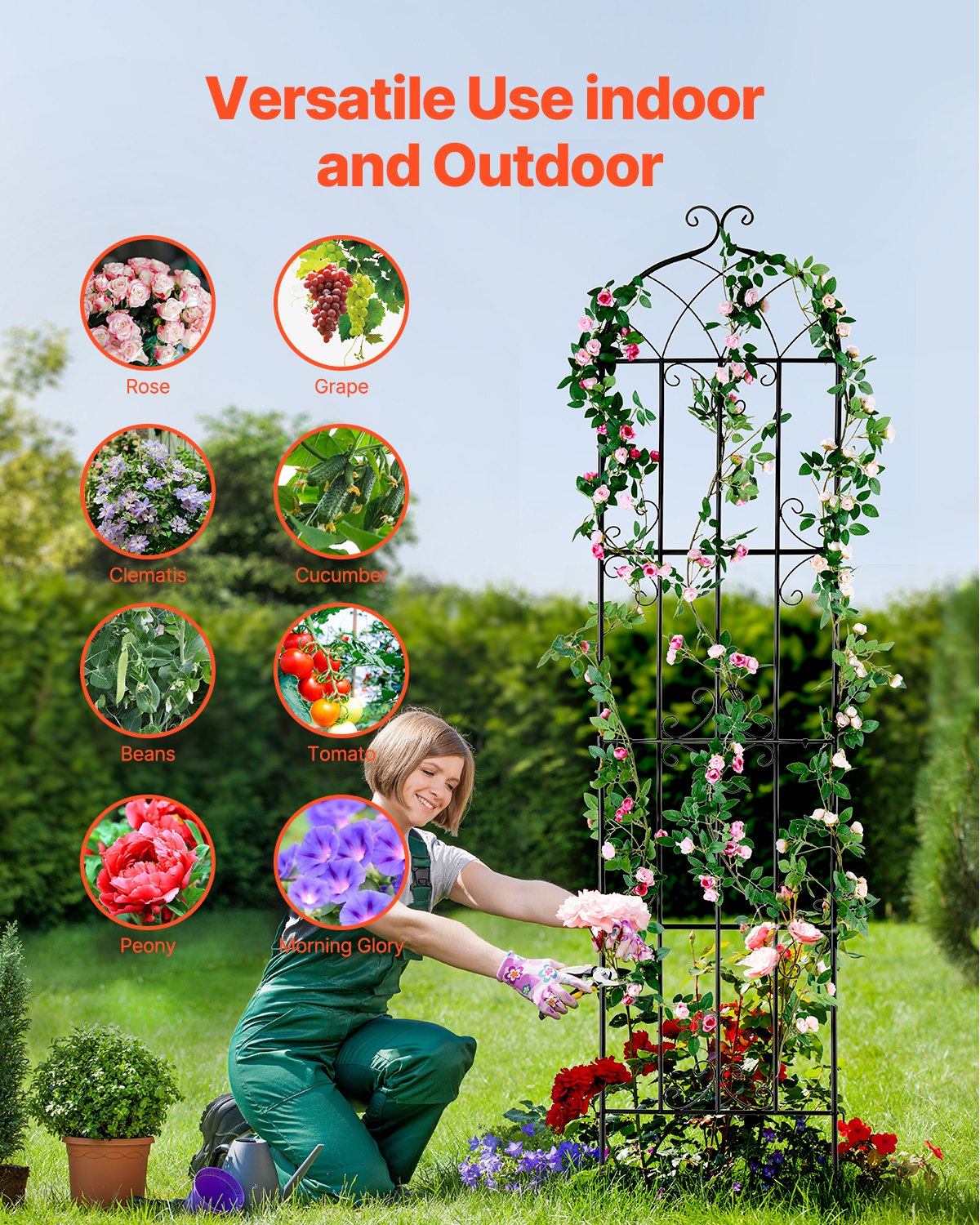 VEVOR Climbing Plant Support, 51x220 cm, Set of 4, Rustproof Metal Trellis for Garden Flowers, Climbing Rose Trellis, Climbing Frame, Cucumber Support, Decorative Clematis Trellis for Courtyards & Lawns