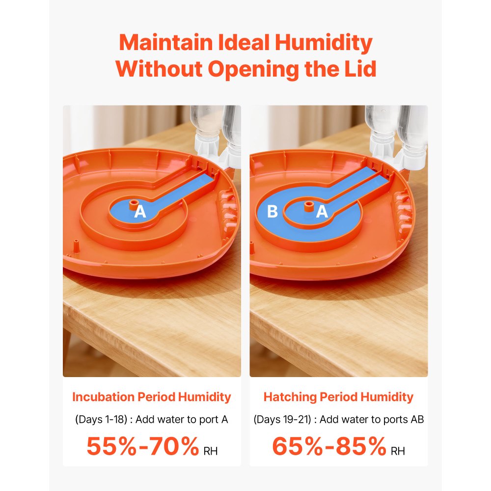 VEVOR W pełni automatyczna inkubatorka na 12 jaj z obrotnicą, kontrolą temperatury i wilgotności, do wylęgu piskląt, kaczek, gęsi i przepiórek