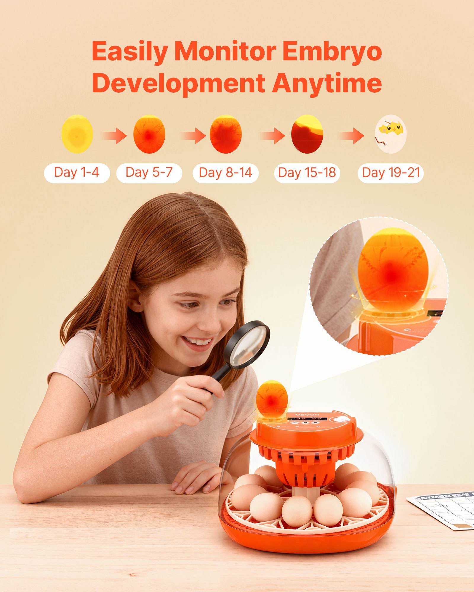VEVOR W pełni automatyczna inkubatorka na 12 jaj z obrotnicą, kontrolą temperatury i wilgotności, do wylęgu piskląt, kaczek, gęsi i przepiórek