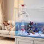 VEVOR Protein Skimmer for 200-400 L Saltwater Aquariums Internal with Pump, Protein Skimmer with DC Pinwheel Pump, Adjustable Control, Air Silencer, for 200-400 L Saltwater Aquariums & Fish Reef Tank