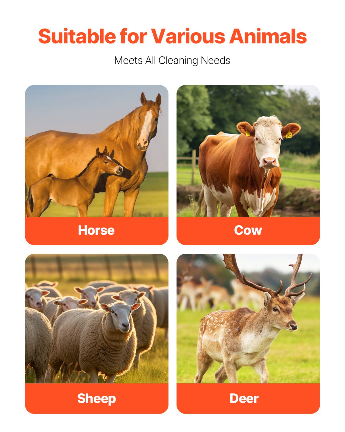 VEVOR Scratching Brush for Farm Animals, Livestock Brush with 2 Screws, 43.5x19x10cm Scrub Brush for Itching Relief & Continuous Cleaning, Coat Care, Scratching Brush for Horses, Pigs & Cattle