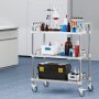 VEVOR Laboratory Trolley, Stainless Steel Trolley with 3 Shelves, Laboratory Serving Trolley with Swivel Casters, Dental Serving Trolley for Clinic, Laboratory, Hospital, Salon, 670 x 395 x 867 mm
