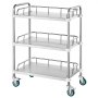 VEVOR Laboratory Trolley, Stainless Steel Trolley with 3 Shelves, Laboratory Serving Trolley with Swivel Casters, Dental Serving Trolley for Clinic, Laboratory, Hospital, Salon, 670 x 395 x 867 mm