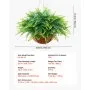 VEVOR Artificial Ferns, 2 Pcs Fake Hanging Boston Fern Bush Plant with 584 mm Hanging Length, Plastic Faux Greenery for Indoor and Outdoor Decor, For Wall, Wedding Party, Home, Porch Garden, Office