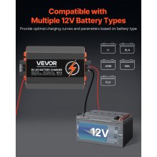 Ładowarka VEVOR 12 V 60 A DC/DC 750 W Kwasowo-ołowiowe Litowo-AGM ŻELOWE/Mokre