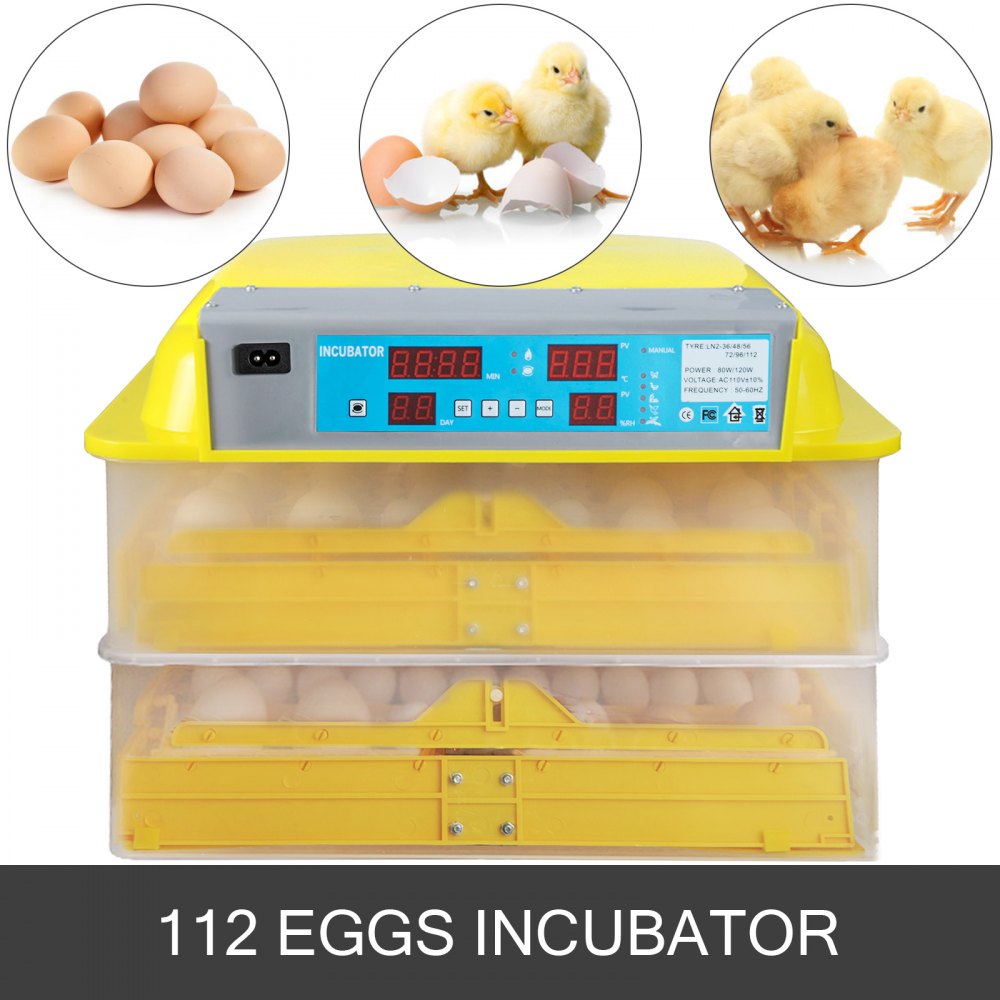 Incubadora automática de aves de corral 112 Auto Eggs Digital Chicken Duck Incubadora