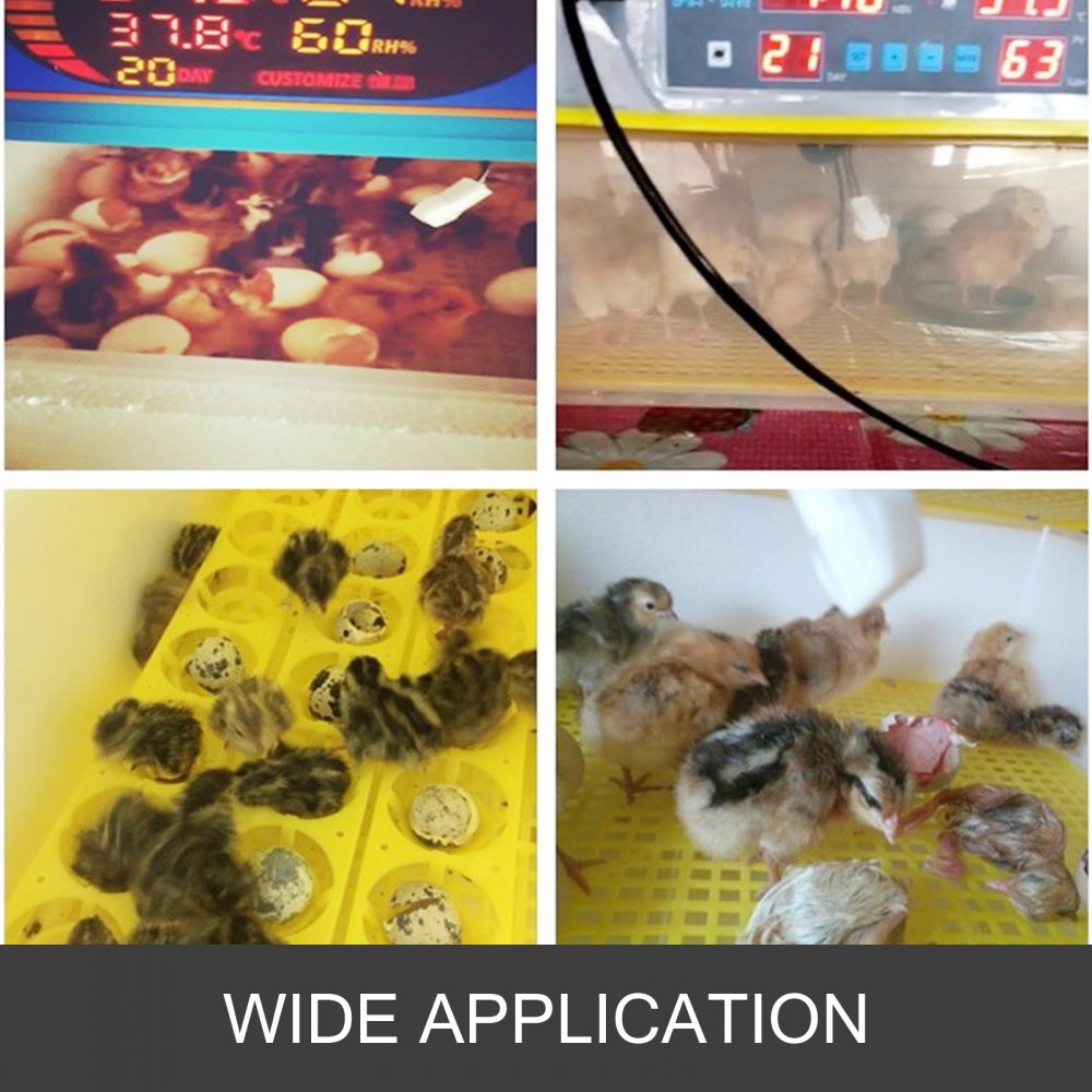 Incubadora automática de aves de corral 112 Auto Eggs Digital Chicken Duck Incubadora